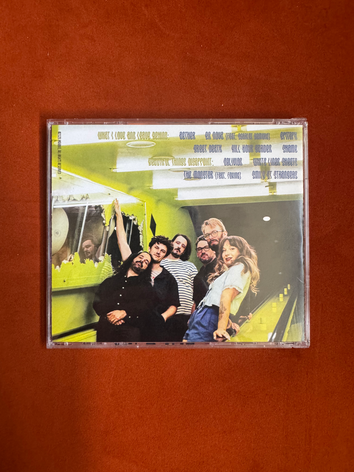 what i love and leave behind / beautiful things disappoint - CD